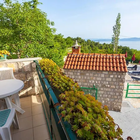Roza Dalmatian Escape Tučepi